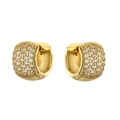 Elegant gold waterdrop hoop earrings with micro-pave clear cubic zirconia stones - 1 Pair / Gold Small Round