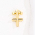 Macro shot of polished gold Sagittarius zodiac pendant with smooth metallic finish - Sagittarius