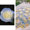 Rose artificiali sfumate blu con carta bianca e margherite per composizioni floreali DIY - Blu Ghiaccio Opaco 450ml