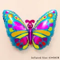 Colorful Butterfly