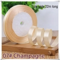 1cm width champagne satin ribbon roll in 22m length for elegant gift wrapping - 07# Champagne Pink