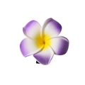 Handmade purple and white gradient plumeria flower hair clip for beach styling - 8cm / Purple