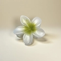Frangipani hair claw clip in white and lime green gradient made of acetate resin - 8x7x4cm / Pearlescent Green
