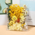 Detail of DIY dried flower kit with yellow sunflower and eucalyptus in clear packaging - Dried Flowers Bag Yellow 14.5g