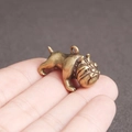 Macro-opname van een miniatuur bulldog beeldje van koper op een vingertop met fijne details - Kleine Bully hond