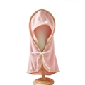 Pink microfiber pet bathrobe featuring a cozy hood and decorative white ribbon bow - S (35*35cm) / Pink