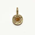 Golden round pendant with yellow birthstone and engraved star details on white backdrop - Gold - November