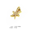 Gold star charm with clear cubic zirconia inlay for DIY bracelets and necklaces - 12 (Pisces-Star)