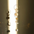 Golden moon phase suncatcher with white shell pieces and a clear crystal ball prism - Style 20 Moon Phase Shell