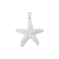 Macro detail of a silver starfish pendant with textured surface and bail for DIY jewelry - VD1518 White Gold Starfish