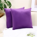 2er-Set lila Samtkissenbezüge im nordischen Stil für Sofa- und Schlafzimmerdekoration - Mit Kissenfüllung / 40x40cm / Dunkellila