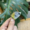 Detail of a mini acrylic fish hair clip with rhinestones and y2k colorful aesthetics - Mini Drill Fish / Green Black Yellow