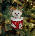 Cute white puppy with reindeer antlers inside a red Christmas stocking ornament - 14-White Puppy