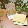 3D pop-up tulip flower greeting card set with a light green envelope and sticker - HK8017-Style D