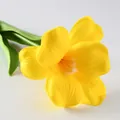 Brownie Flower Yellow