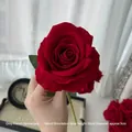 Single red velvet artificial rose with 50cm stem and 9cm flower head for home decor - French Velvet Red Rose 1 Pc