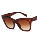 Modische Oversized Katzenaugen Sonnenbrille in Teebraun mit Verlaufsgläsern und Metalldetails - Tee Rahmen Verlauf Tee Gläser