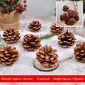 Piñas de Navidad naturales de 4-6 cm, pack de 12 unidades para decoración de árboles - Juego de 12 / Color Original