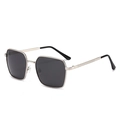 Gafas de sol polarizadas con montura de metal plateado y lentes gris oscuro - Marco Plateado Lente Gris Negro