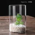 1000ML cylindrical borosilicate glass planter with white pebbles and green succulent - D10cm*H15cm (1000ML)