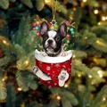 Französische Bulldogge Weihnachtsschmuck mit Rentiergeweih und rotem Taschendesign - Französische Bulldogge Typ 3