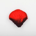 Artificial rose petal with realistic red to dark purple gradient and silk texture - Red and Black spots