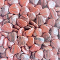 Polished 2cm red jasper heart stones with natural dark veins for home decor and gifts - Red Sesame Stone