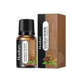 Huile essentielle de bois de santal 10ml en flacon brun et boîte d'emballage - Bois de Santal / 10ml