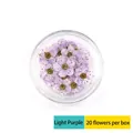Macro view of light purple dried flowers for nail art in a transparent round storage box - 20 Pcs Pack / Light Purple