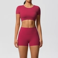 Detailansicht des tiefrosaroten Yoga-Sets mit hoher Taille und gepolstertem Oberteil - S / Oberteil Und Unterteil / Karminrot