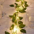 Battery 2M 20LEDs / Pothos Leaf Vine