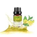 10ml Ylang Ylang pure essential oil in brown glass bottle with yellow liquid splash - Ylang Ylang Unilateral