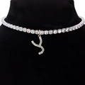 Sparkling silver choker with zircon letter pendant on a black velvet background - Letter Y [Silver]