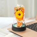 Preserved yellow sunflower in LED glass dome with black base for Valentine gift - Orange Sunflower Light + Gift Bag + Teacher's Day Card