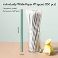 Green disposable coffee straws with white paper wrapping, 100 pieces per pack, 260x6mm size - 6*260mm Flat Thin Green Straws-100pcs White Paper Wrap