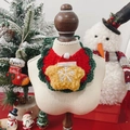 Christmas pet bib with green crochet edge, yellow star and festive hat on mini mannequin - One Size / Golden Star with Rhinestones