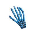 Blauwe skelethand haarclip met zwarte botdetails in punk Harajuku gothic stijl - Hemelsblauw