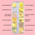 Nail art kit T-316 with pearls, aurora butterflies and stars in 12-grid storage box - T-316 (Icy Little Fairy)