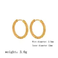 Golden titanium steel twisted hoop earrings with 12mm inner diameter and 2.5mm thickness - Plum Blossom Twisted Earrings (G95) / Inner Diameter 12mm / Gold