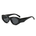 Lunettes de soleil ovales à monture noire avec verres gris anti-UV et branches larges - Monture Noire Verres Noir Gris