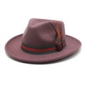 Detail of wool felt fedora with green-red stripe band and decorative spotted feather - M (56-58cm) / Deep Purple
