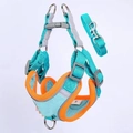 Detail of teal and orange breathable mesh dog harness with reflective strap and S size tag - Size L (Recommended 14-20 lbs) / Lake Blue Harness + 1.2m Leash