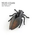 Realistisches schwarzes Zikaden-Insektenmodell mit roten Augen und durchsichtigen Flügeln - Zikade