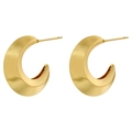 Macro view of golden crescent earrings with matte metallic texture and sleek modern design - Wide Crescent Shape / VE1102 Gold
