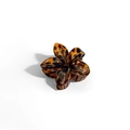 Plumeria claw clip featuring a vintage tortoiseshell texture with amber resin petals - Frangipani Hair Clip / 4x3.6x2.6CM / Tortoiseshell Leopard