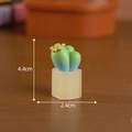 Miniature succulent plant in beige hexagonal pot with dimensions 4.4cm by 2.4cm - No. 6 Green