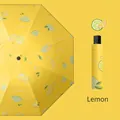 Ombrello pieghevole con stampa di limoni e custodia protettiva coordinata - Ombrello manuale standard a 8 stecche frutta - Limone