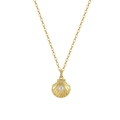 Elegant gold shell pendant necklace with a natural freshwater pearl in the center - 925 Silver / 14K Gold (SGPN81-14K)