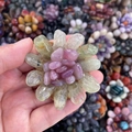 Close-up of handmade semi-precious green and pink crystal flower decorative ornament - Prehnite