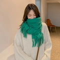 Elegant green wool blend scarf with fringe tassels worn by a model in a minimalist setting - New Green